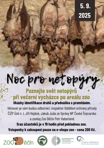 noc pro netopýry uvod